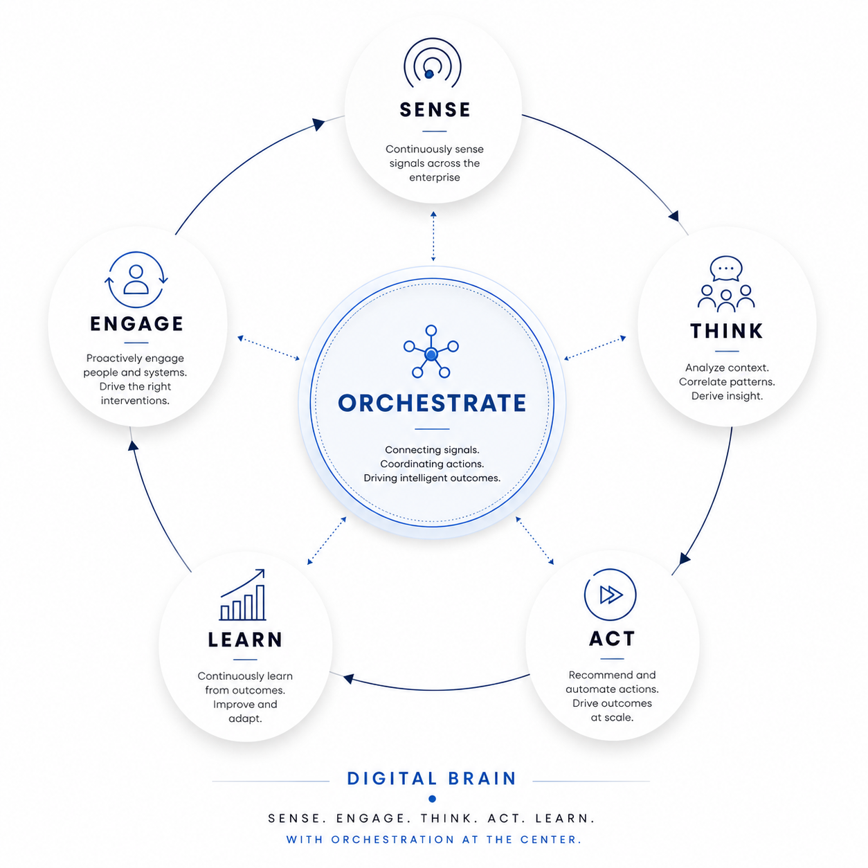 Beyond Dashboards: Why the Future Enterprise Needs a Digital Brain digital brain seal framefork